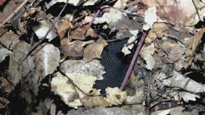 A Deep Dive Into Grant Family Murder Crime Scene Photos