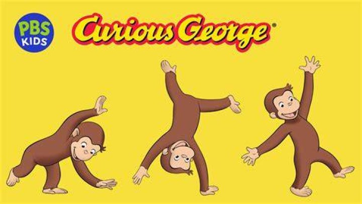 A Guide For The Curious