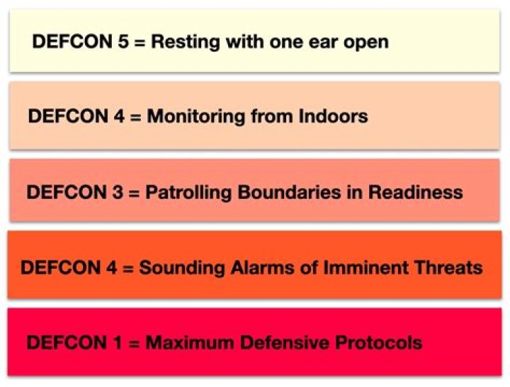 At Defcon 5 After Learning ChrisChan Was Bailed Out Of Prison