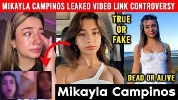 Circumstances Surrounding Mikayla Campinos' Death, Net-worth