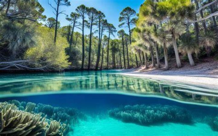 Discover The Enchanting Beauty Of Emerson Wells Florida: Nature's Hidden Gem