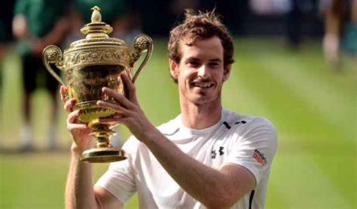 How many titles has Andy Murray won? What is Andy Murray rank?