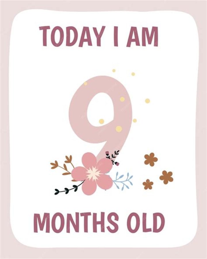 Is 9 Months Baby Found Yet? ·
