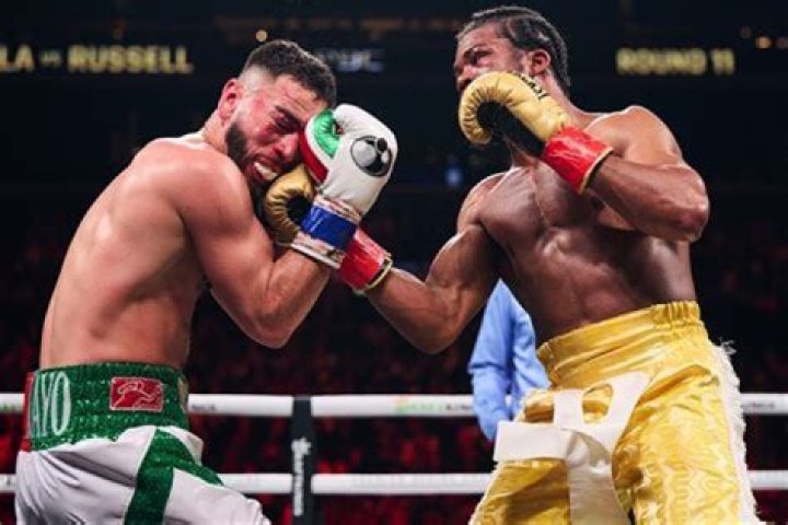 Where Is The Boxer From? Origin Family And Net Worth ·